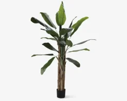 Sale Daells Bolighus Banana Kunstigt Træ H.180 cm