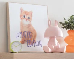 Outlet Daells Bolighus Billede kitten - Limited edition
