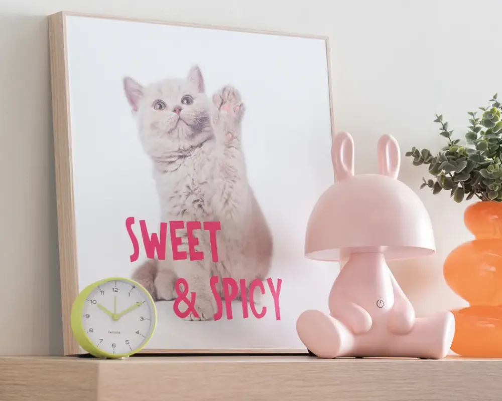 Sale Daells Bolighus Billede kitten - Sweet & spicy