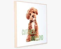 Discount Daells Bolighus Billede puppy - Cuteness overload