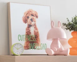 Discount Daells Bolighus Billede puppy - Cuteness overload