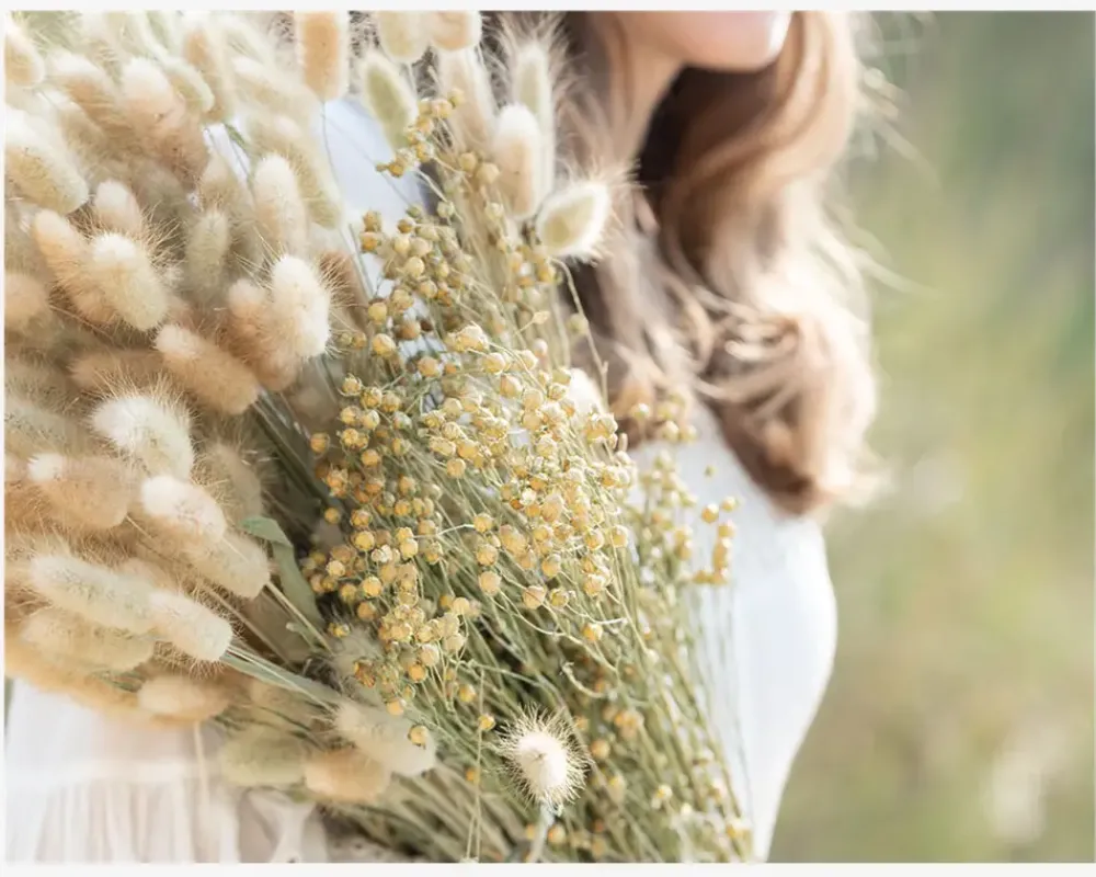 Discount Daells Bolighus Buket Tørret Gypsophila Hvid