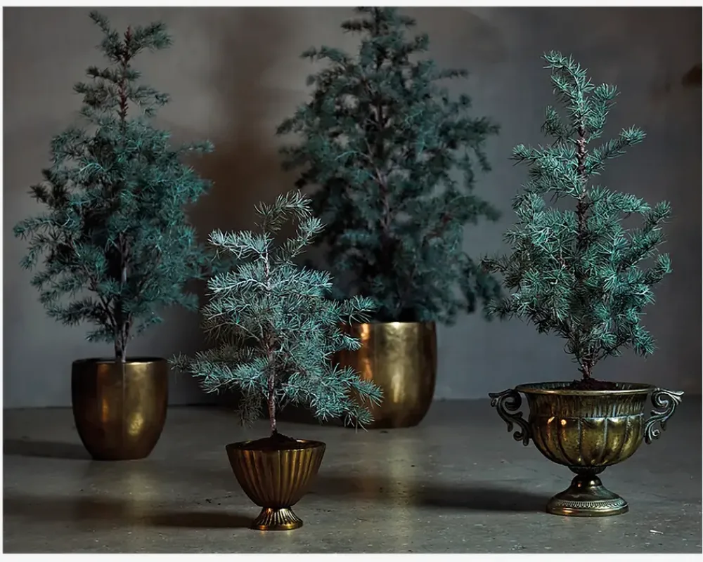 Best Daells Bolighus Cedertræ m/potte plastik H.60 cm