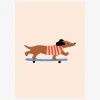 New Daells Bolighus Dachshund on skateboard 30X40 cm