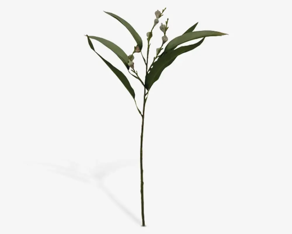 Online Daells Bolighus Gren M/Bær Grøn H.48 cm