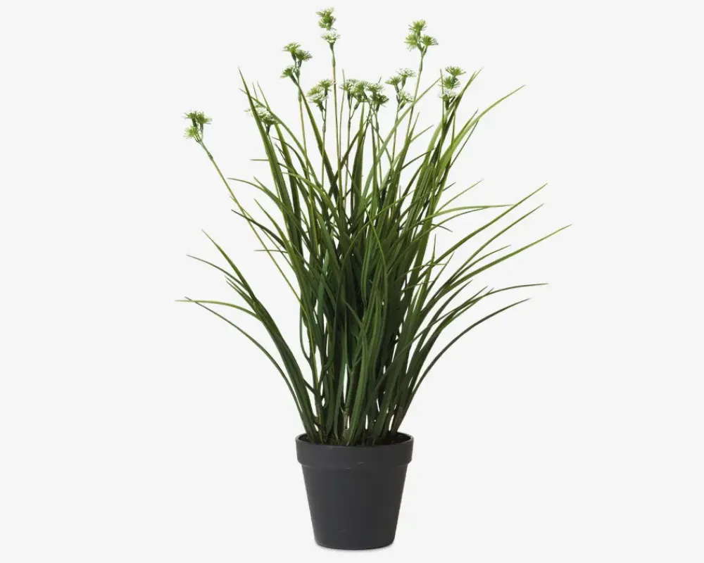Online Daells Bolighus Græs Med Blomster Plastik H.55 cm