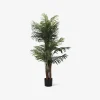 Online Daells Bolighus Kunstig Palme H.160 cm