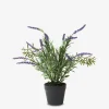 Discount Daells Bolighus Lavendel Potte Plastik H.30 cm