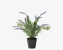 Discount Daells Bolighus Lavendel Potte Plastik H.30 cm
