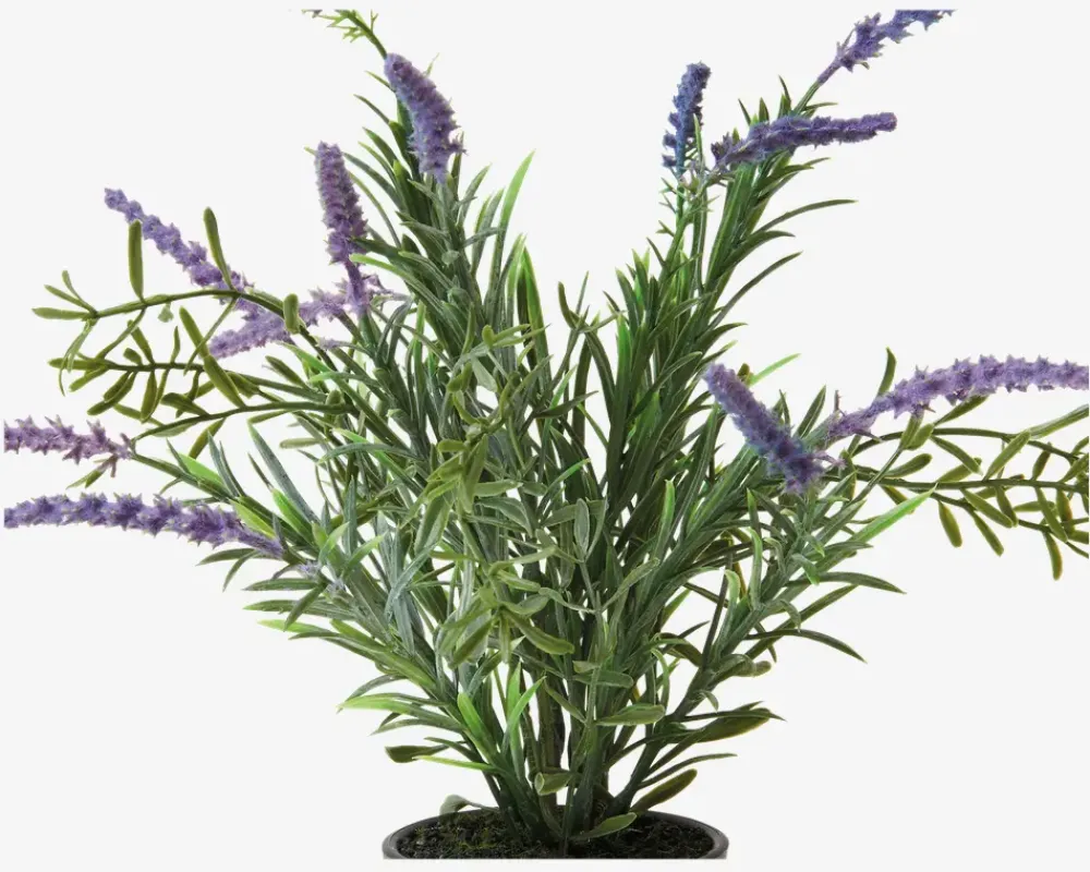 Discount Daells Bolighus Lavendel Potte Plastik H.30 cm