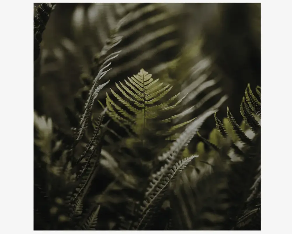 Clearance Daells Bolighus Metal Billede Grønne Planter 40 x 40 cm