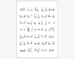 Hot Daells Bolighus Plakat Boobies