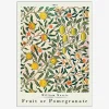 Clearance Daells Bolighus Plakat Fruit Or Pomegranate