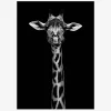 Online Daells Bolighus Plakat Giraf