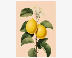 Sale Daells Bolighus Plakat Lemons Neuraland Oak 70x100 cm
