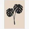 Online Daells Bolighus Plakat Monstera Deliciosa