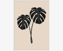 Online Daells Bolighus Plakat Monstera Deliciosa