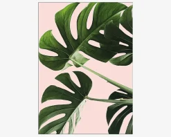 Sale Daells Bolighus Plakat Monsteras Pink