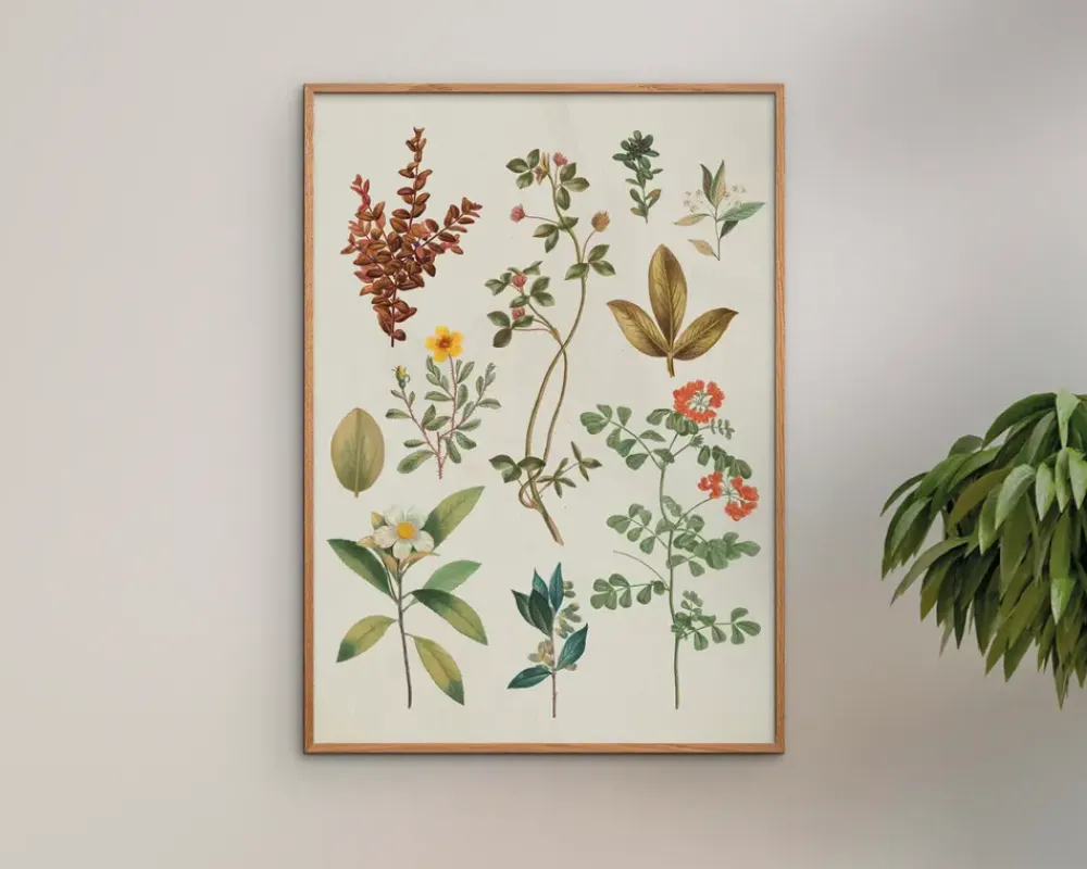 Clearance Daells Bolighus Plakat Victorian Garden III A5