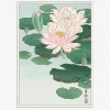 Online Daells Bolighus Plakat Waterlilies Japansk