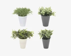 Hot Daells Bolighus Plante i potte ass H.24 cm