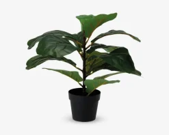 Outlet Daells Bolighus Plante kunstig 38 cm ass.