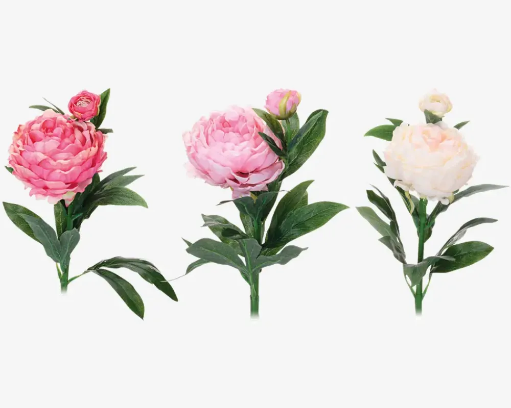 Daells Bolighus Pæon stilk ass 17x17x61 cm