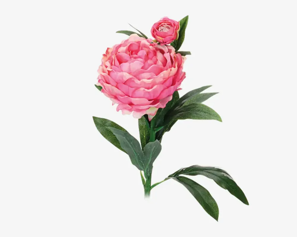 Daells Bolighus Pæon stilk ass 17x17x61 cm