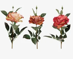 Online Daells Bolighus Rose stilk ass 10x10x59 cm