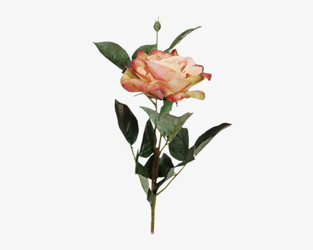 Online Daells Bolighus Rose stilk ass 10x10x59 cm