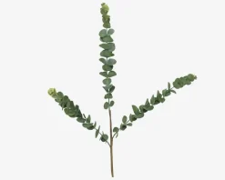 Online Daells Bolighus Stilk Eucalyptus Grøn H.70 cm