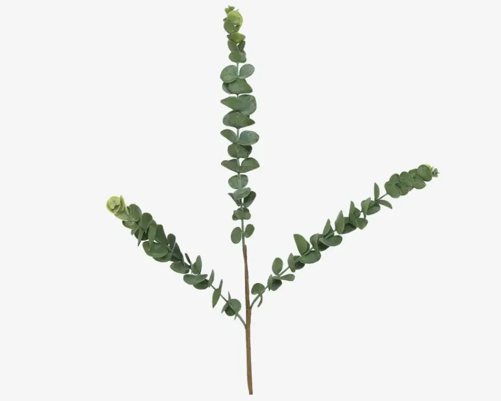 Online Daells Bolighus Stilk Eucalyptus Grøn H.70 cm