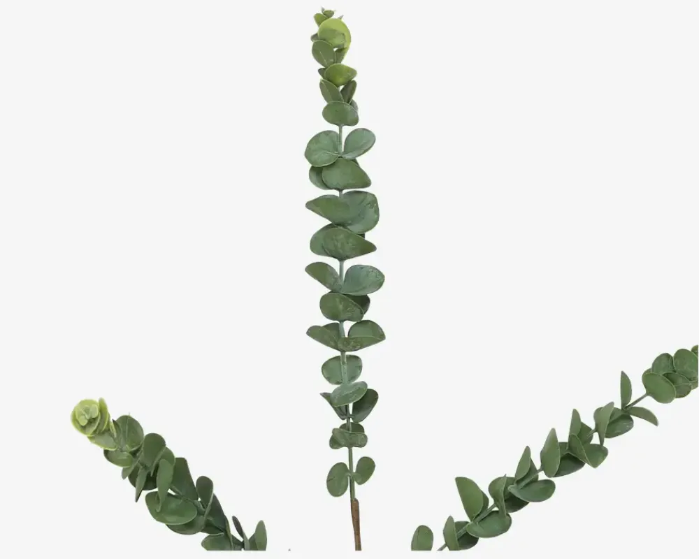 Online Daells Bolighus Stilk Eucalyptus Grøn H.70 cm