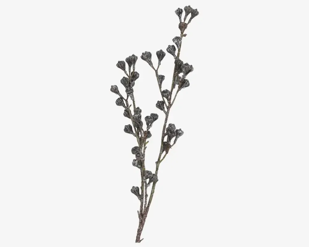 Online Daells Bolighus Stilk Gren M.Bær Brun H.85cm