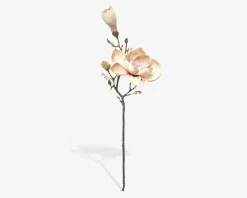 Outlet Daells Bolighus Stilk Magnolia H.58 cm Lyserød