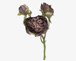 Daells Bolighus Stilk Pæon M.3 Knopper Lilla H.65cm