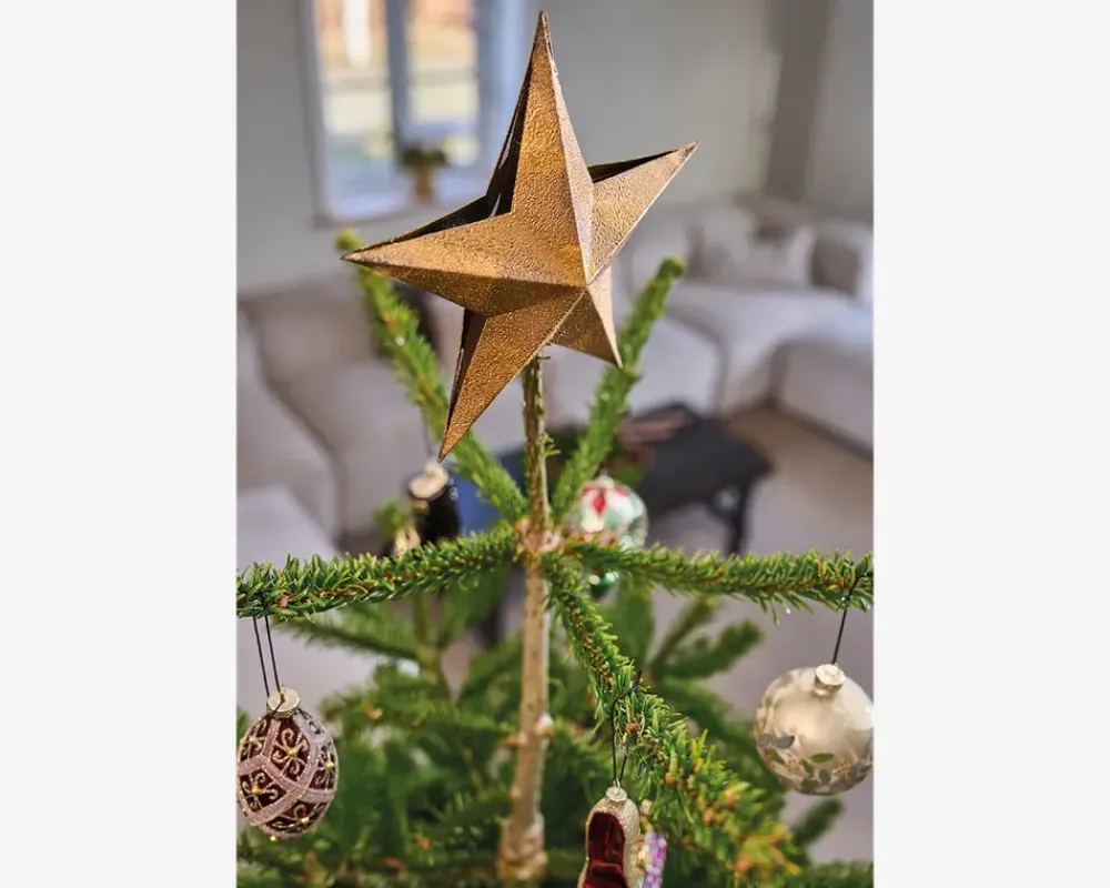 Hot Daells Bolighus Topstjerne guld metal 20x3 cm