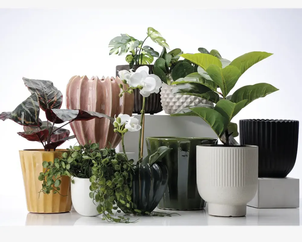 Clearance Daells Bolighus Urtepotteskjuler Ananas hvid H.16xØ.22 cm