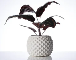 Discount Daells Bolighus Urtepotteskjuler Ananas hvid H.13xØ.17 cm