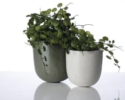 Hot Daells Bolighus Urtepotteskjuler grøn til væggen 14x13 cm