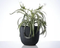 Online Daells Bolighus Urtepotteskjuler Nobel mat sort 17x18 cm