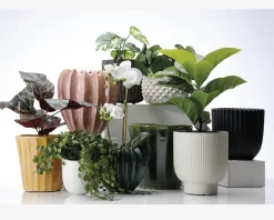 Online Daells Bolighus Urtepotteskjuler Nobel mat sort 17x18 cm